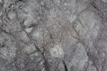Textured gray rock surface displays mineral patterns and natural imperfections, ideal for backgrounds, geological studies, or nature-themed projects © Anat art