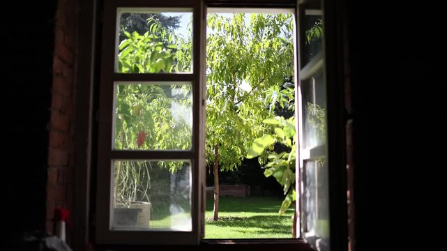 Open window frames a bright green garden from a dark rustic interior as warm sunlight enters the room and highlights a peaceful summer view outside an old country house
