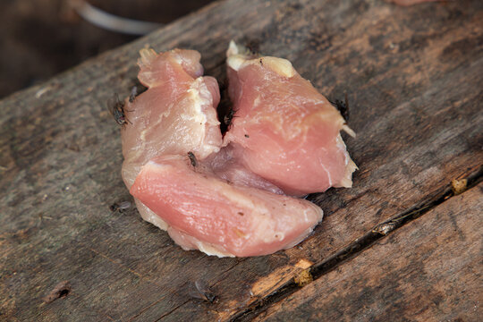 Housefly sitting on a piece of raw meat on old wooden board close up. Dirty blowfly insect on spoiled pork or beef flesh outdoors. Unsanitary conditions, food contamination and pest control concept.