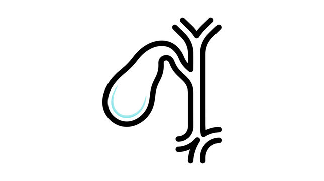 Simplified human gallbladder anatomy line art icon with soft blue gradient fill for medical education