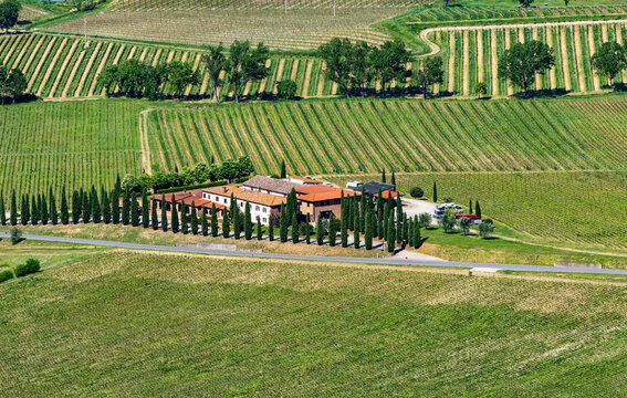 Typische Toskanische Landschaft, Provinz Siena, Italien