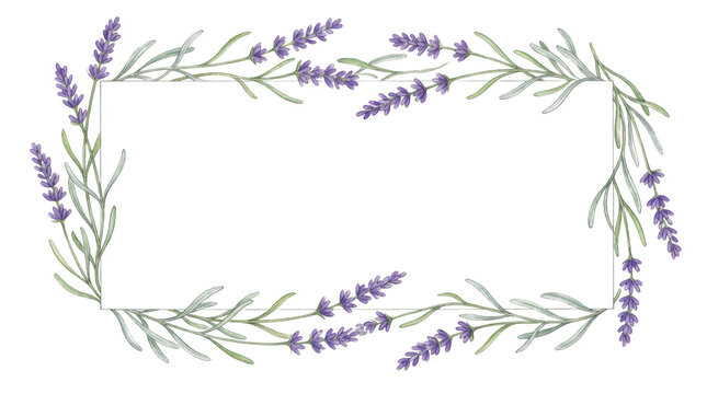 Watercolor lavender frame isolated on transparent background