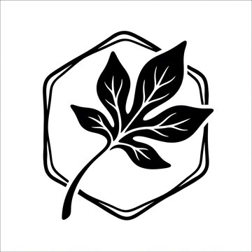 Minimalist black leaf icon inside a hexagon shape on a white background
