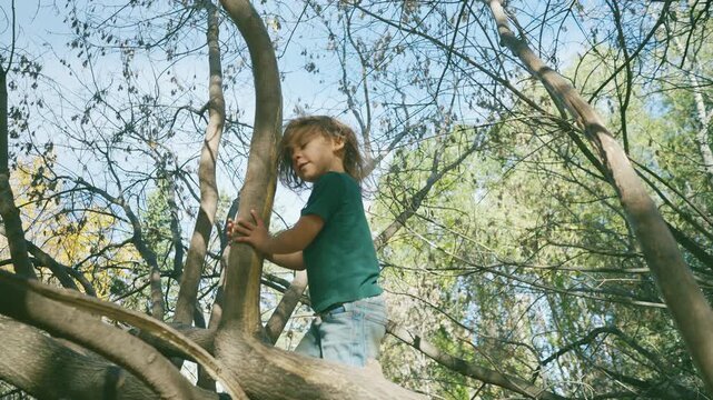 Young boy crawling over fallen tree branches from low angle in autumn woods