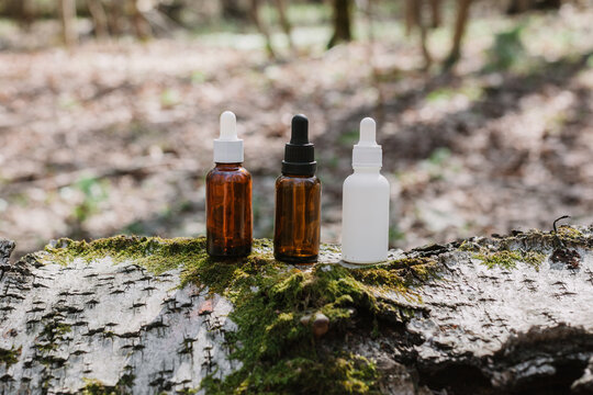 A dark and light glass serum bottle with a dropper, tree bark wood, moss. forest on a sunny day nature background. Concept of skin care, hydration, cosmetic demonstration eco-friendly product mock up
