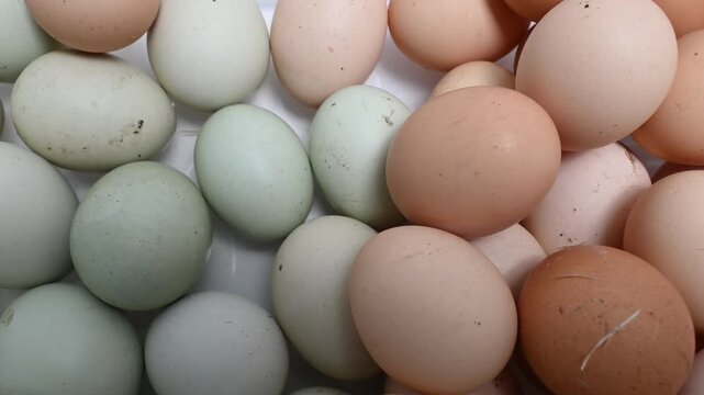 Natural Brown White and Green Eggs in a Close Up