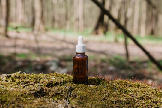 A dark and light glass serum bottle with a dropper, tree bark wood, moss. forest on a sunny day nature background. Concept of skin care, hydration, cosmetic demonstration eco-friendly product mock up