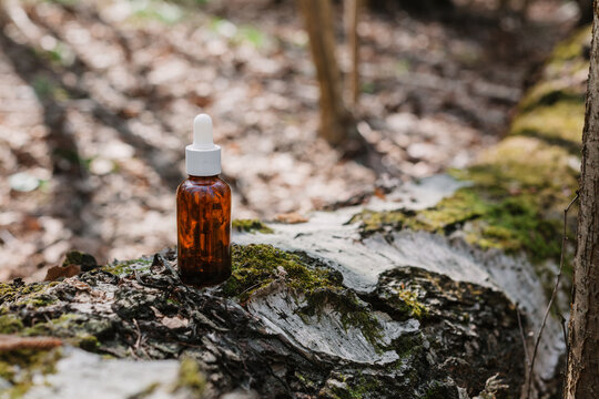 A dark and light glass serum bottle with a dropper, tree bark wood, moss. forest on a sunny day nature background. Concept of skin care, hydration, cosmetic demonstration eco-friendly product mock up