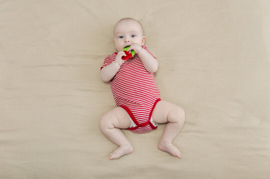 Baby lying on bed and gripping teething ring with both hands. Child chewing toy for teething relief. Exploring textures while soothing sore gums. Sensory discovery at home.