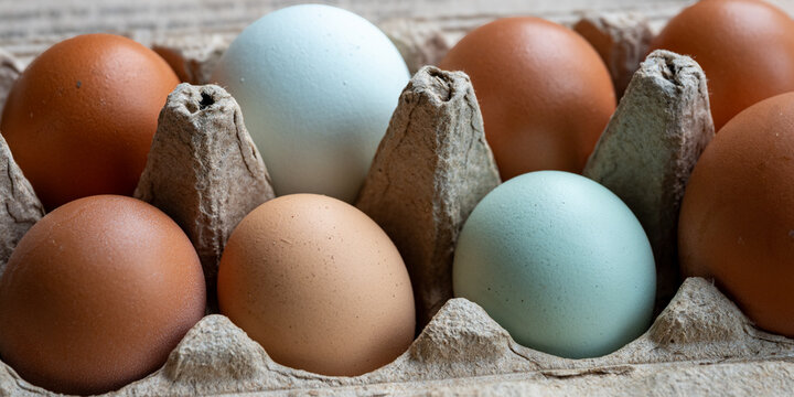Assorted fresh colorful chicken eggs in brown paper carton crate top view closeup. Background banner