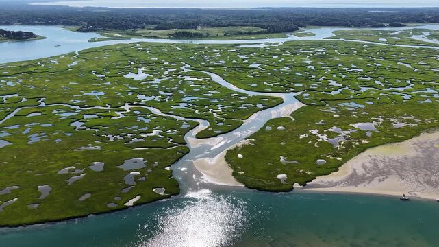 A myriad of channels meander through an extensive, sunlit salt marsh on the coast of Cape Cod, MA. Marshes provide critical habitat for many birds, fish, and invertebrates to feed, mate, and nest.