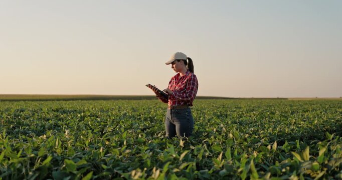Female farmer using tablet in soybean field for agricultural data collection