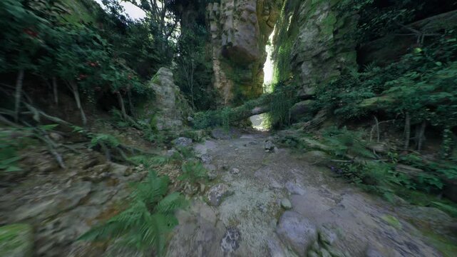 shallow streambed with pebbled floor, gentle trickle reflecting canopy light, patchy moss and sediment layers, humid atmosphere suited for ecological study