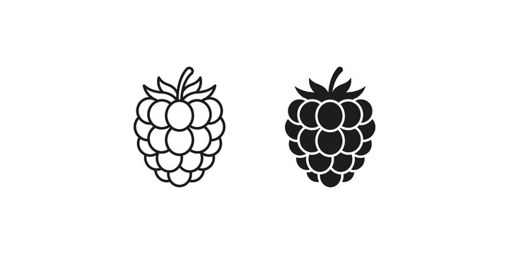 Fresh raspberry fruit icons in outline and solid black vector styles.