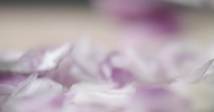 Tabletop Macro Close up of kitchen knife chopping onions in slow motion