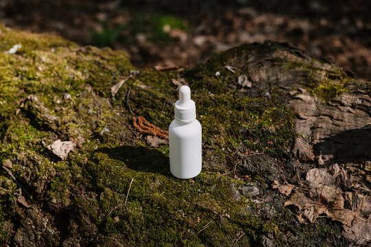 A dark and light glass serum bottle with a dropper, tree bark wood, moss. forest on a sunny day nature background. Concept of skin care, hydration, cosmetic demonstration eco-friendly product mock up