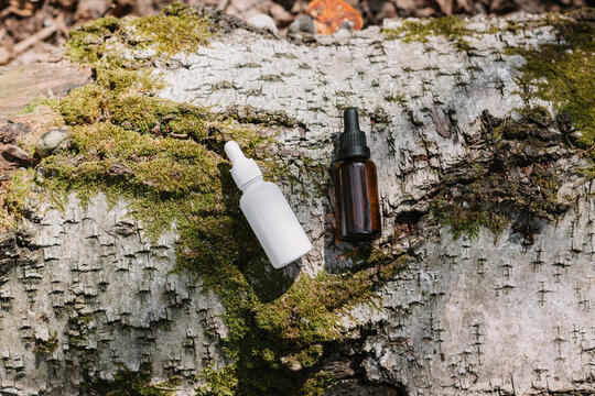 A dark and light glass serum bottle with a dropper, tree bark wood, moss. forest on a sunny day nature background. Concept of skin care, hydration, cosmetic demonstration eco-friendly product mock up