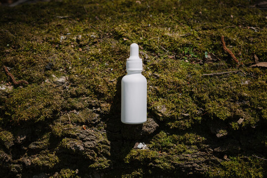 A dark and light glass serum bottle with a dropper, tree bark wood, moss. forest on a sunny day nature background. Concept of skin care, hydration, cosmetic demonstration eco-friendly product mock up