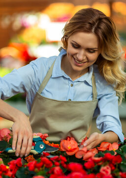 Female Gardener Pruning Flowers.
