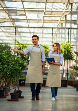 Greenhouse Gardeners Inspecting Plants.