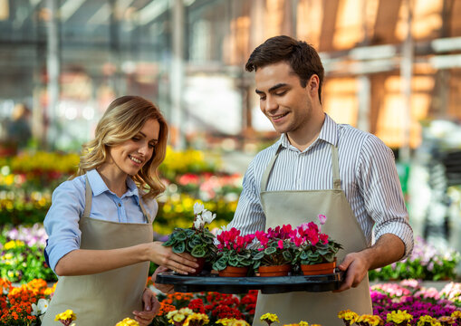 Gardeners Arranging Flower Pots.