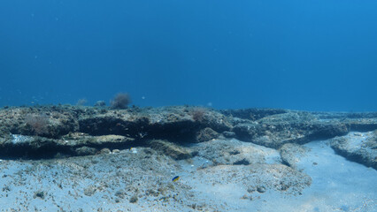 panoramic view of coral reef in ocean © Matthew Tighe