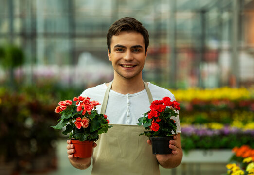 Greenhouse Florist Holding Begonias.