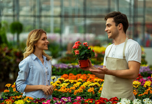 Florist Presenting Potted Flower.