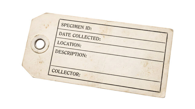 Blank manila tag for specimen labeling with fields for identification and collection details.