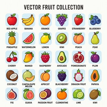 Vector Fruit Collection with Various Fresh Fruits