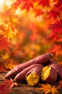 Freshly Harvested Sweet Potatoes with Copy Space in an Autumn Field_01