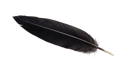Single raven feather isolated against a bright studio light concept for lightness © Sorifa