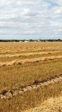 Harvested stubble field with long yellow windrows of leftover straw. Agricultural processing plant with large silos is visible on the horizon