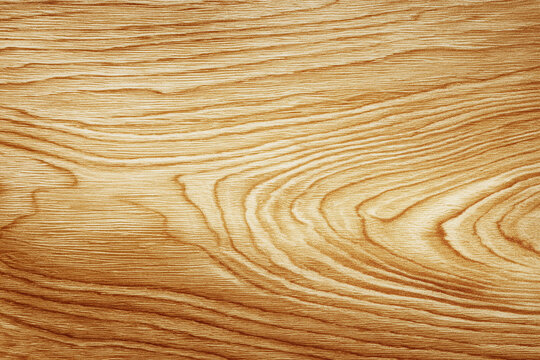 texture of old light cracked wood with knots