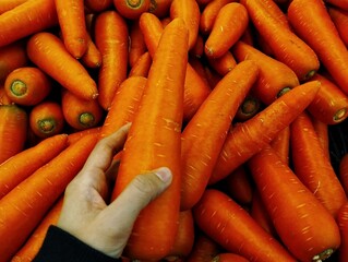 Bunch of carrots © Kar