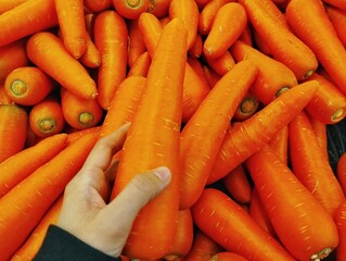 Carrots on market © Kar
