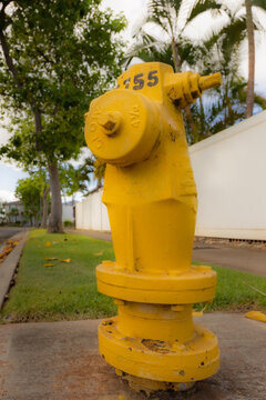 Yellow fire hydrant on residential street in Hawaii
