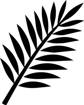Black coconut palm leaf silhouette icon isolated on white background for World Coconut Day minimalist design element