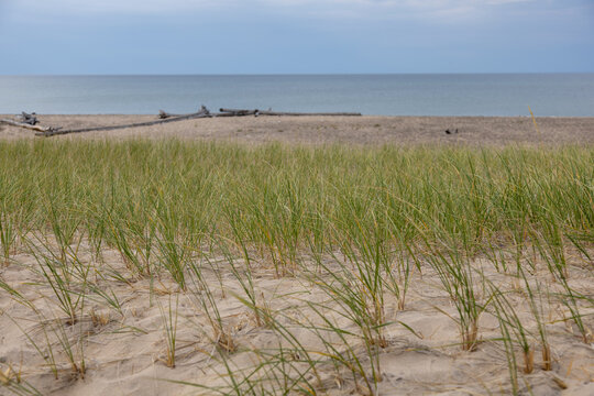 Grassy dunes on the southern shore of Lake Superior