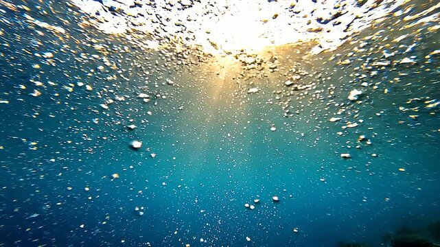 Rising bubbles reflect bright sunlight underwater
