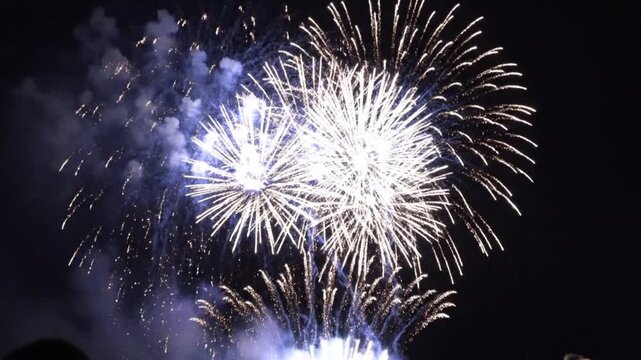 Colorful fireworks exploding in dark night sky