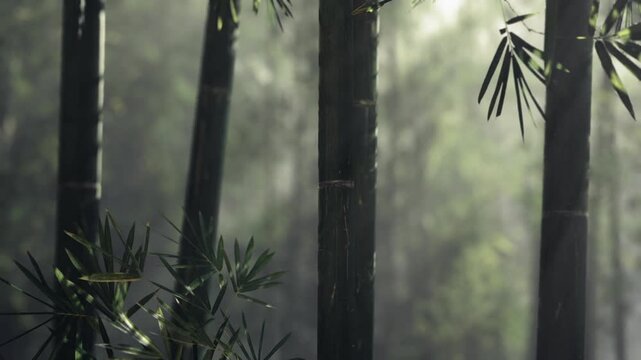 Dense bamboo stand providing wildlife habitat, thick understory and interlaced culms creating shelter for birds and small mammals, damp earthy richness