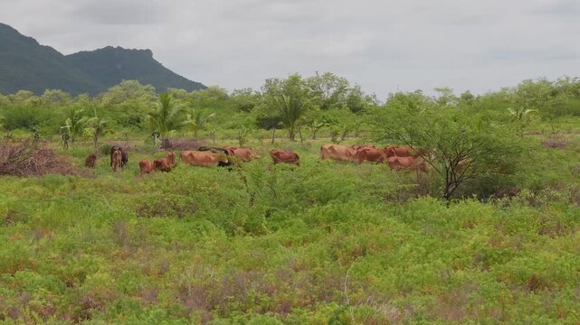 Khao Sam Roi Yot National Park n the Prachuap Khiri Khan province of Thailand