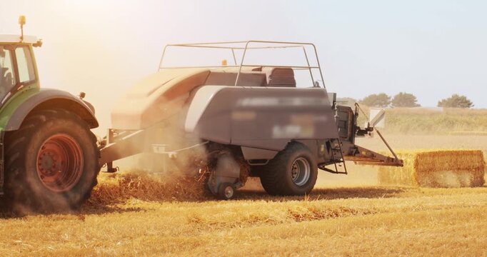 Farm tractor and baler in food crop field. Agricultural bale harvest machine trailer.