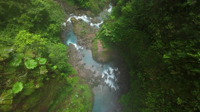 FPV drone flight over turquoise jungle river and mossy boulders in Costa Rica rainforest revealing father with son hiking a misty trail through ferns and dense tropical green foliage.