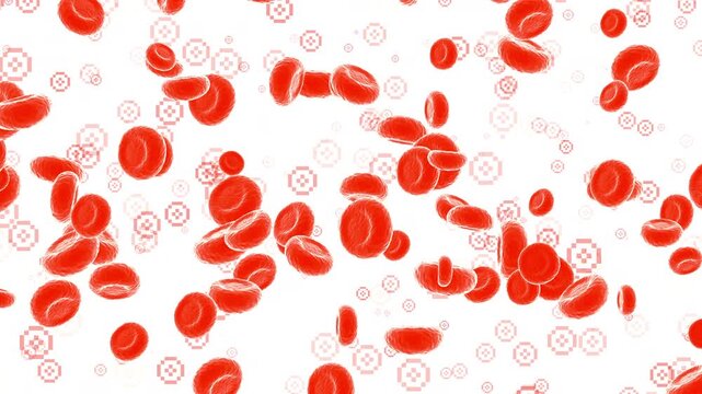 Red blood cells and platelets: medical dynamic video materials