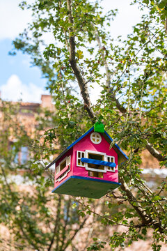 Colorful handmade bird feeder hanging from tree branch outdoor. Painted wooden feeder features bright decorative design and rustic craftsmanship surrounded by bark branches on blurred background
