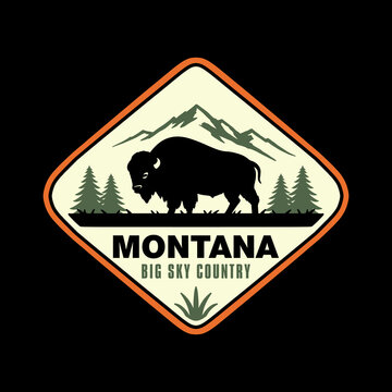 Vintage Montana Big Sky Country Badge with Bison