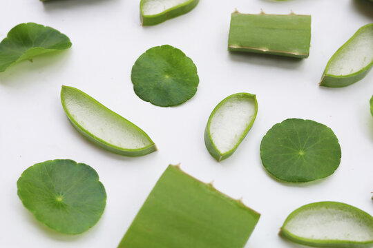Fresh aloe vera slices and gotu kola leaves flat lay pattern on a white background.