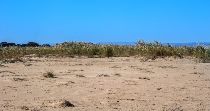 Sand Dunes along the Coastal Route Ancienne N9 from Toliara to Andavadoaka, Madagascar	
